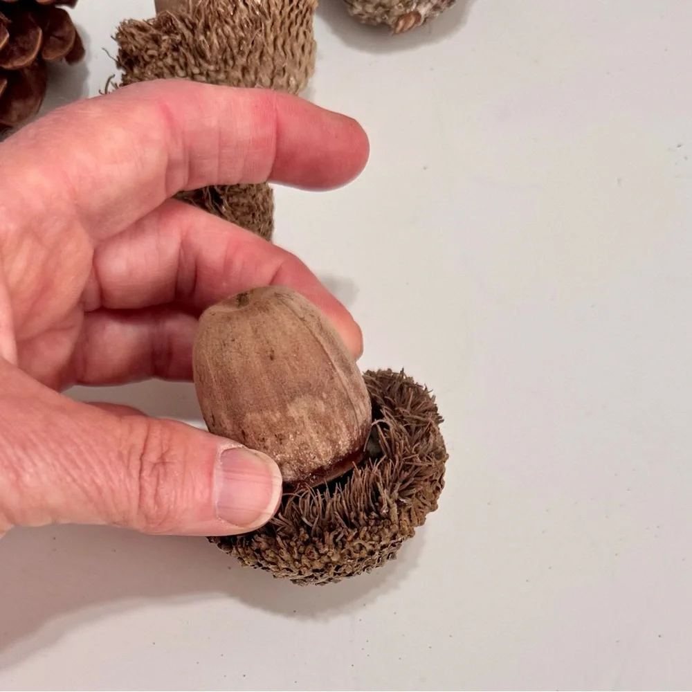 12 Pc. Natural Pinecone & Acorn Set for Rustic Floral Arrangement Wreath Crafts